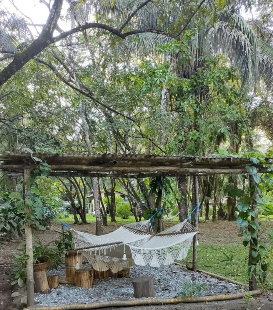 Four Monkeys Eco Lodge Jungle & Beach - The House Cabo Matapalo Dış mekan fotoğraf